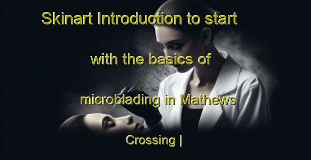 Skinart Introduction to start with the basics of microblading in Mathews Crossing | MicrobladingTraining | MicrobladingClasses | SkinartTraining-United States